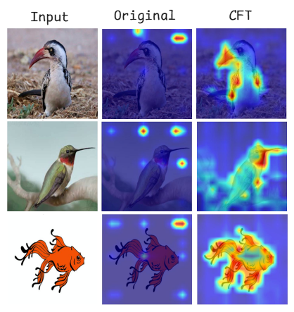 CFT Motivation: Original vs CFT Relevance Maps